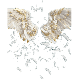 Angel Wings Unfolding With Feathers SVGA entry effect animation